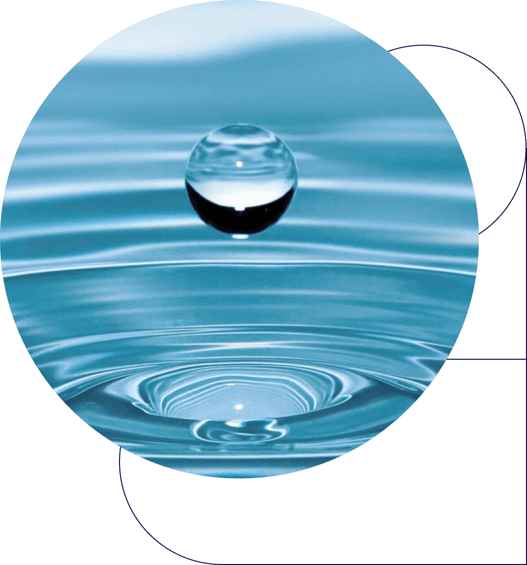 TRA4U, trasparenza bancaria per competere!